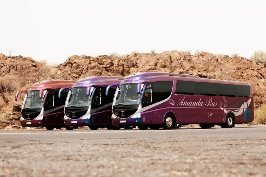 línea de autobuses de amanda bus
