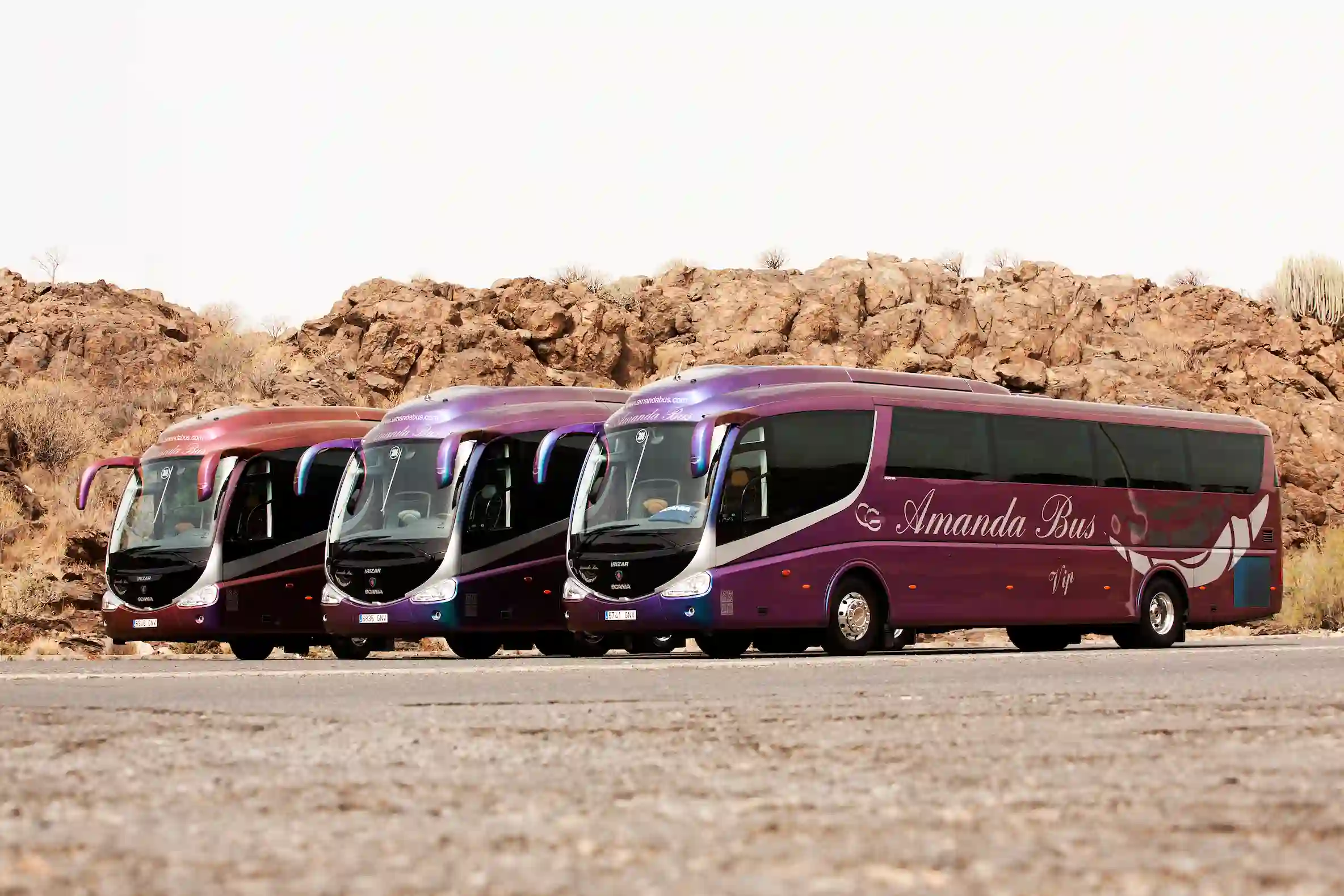 línea de autobuses de amanda bus